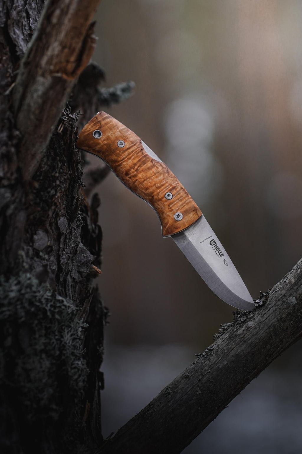 Helle Nipa folding knife - DLT Trading