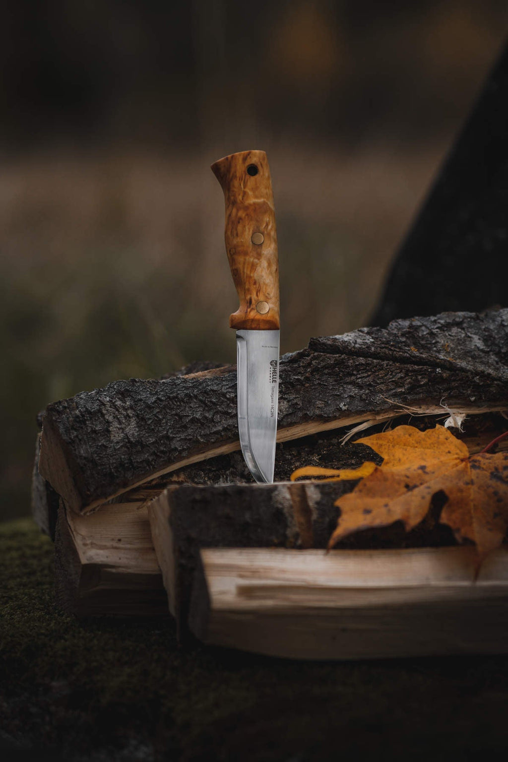 Helle Knives: Nord - Curly Birch - 5.79 Scandi Blade - 14C28N Stainless  Steel